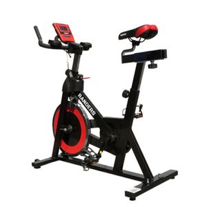 BICI RANDERS DE SPINNING ARG-880SP
