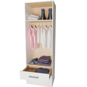 PLACARD 2 PUERTAS TONO WENGUE 61x184x47cm 3543