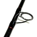 CAÑA-SHIMANO-142000-SOJOUR-SF-SPIN-3.9-100250G-2T4