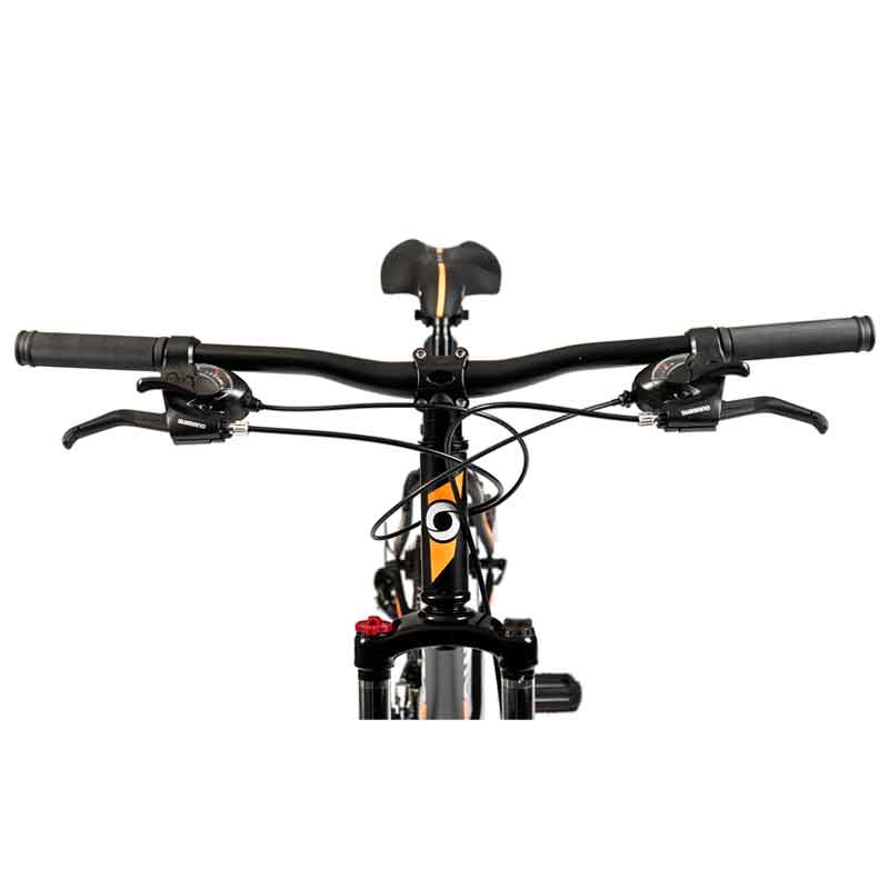 BICI-OLMO-BIKES-FLASH-ROD-29-1B01083---SUSPENSION-DELANTERA---FRENOS-DISCO---T203