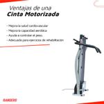 CINTA-RANDERS-ARG-3133