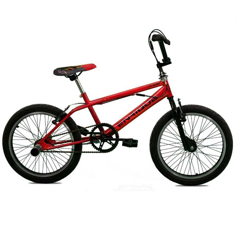 BICI-ENRIQUE-R20-FREESTYLE-PINTADA-CROTOR-48-RAYOS-LLANTA-REFORZADA2