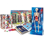 JUEGO-CUERPO-HUMANO-3