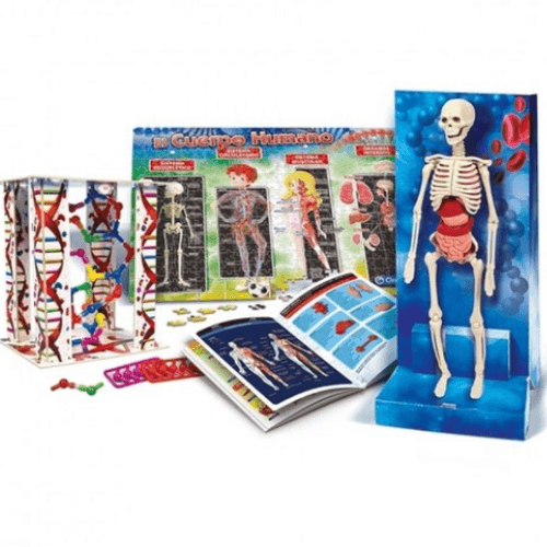 JUGUETE CRESKOP/ARMAR CUERPO HUMANO FT785