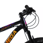 REGAL--NEG-FUC-NAR-4