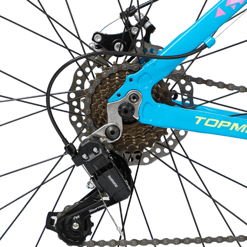 MTB R29 TOPMEGA REGAL 21V CUADRO ALUMUNIO CEL/AMA/ROS 7971 TALLE S-16