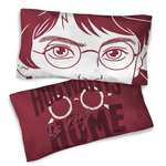 5767--PIÑATA-HARRY-POTTER-2