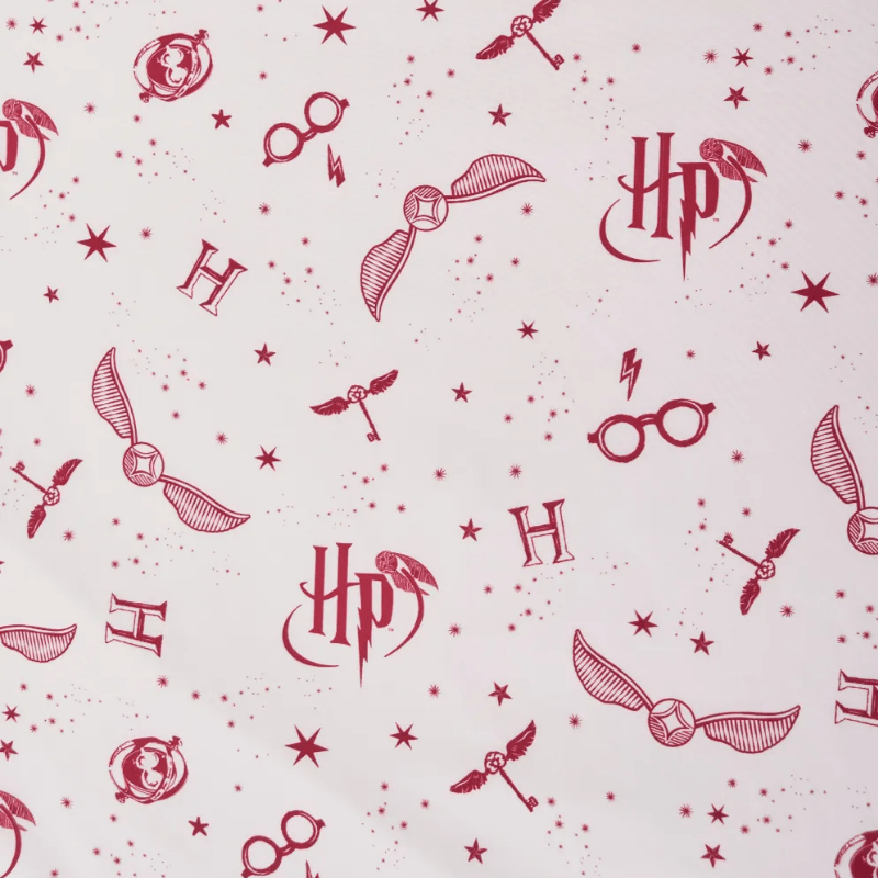 5767--PIÑATA-HARRY-POTTER-4