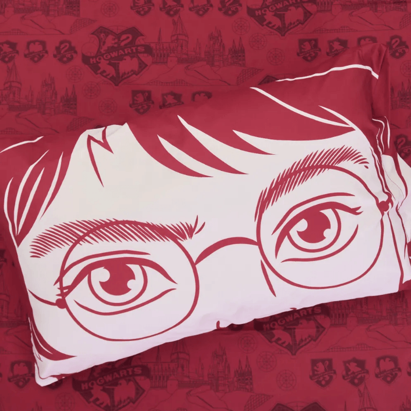 5767--PIÑATA-HARRY-POTTER-5