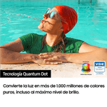 65-SAMSUNG-Q65-5