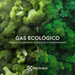 electrolux-gas-ecologico-1
