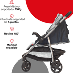 1390-GRIS-1