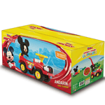 ANDARIN-MICKEY-441107-2