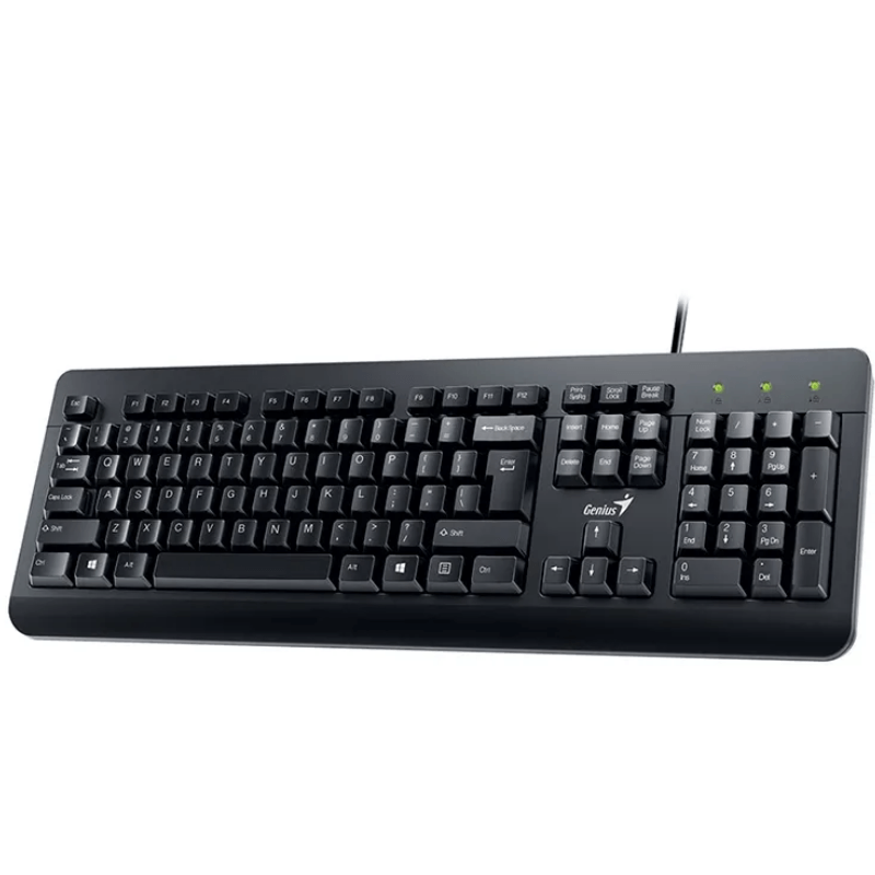 TECLADO-Y-MOUSE-GENIUS-KM-160-USB-2