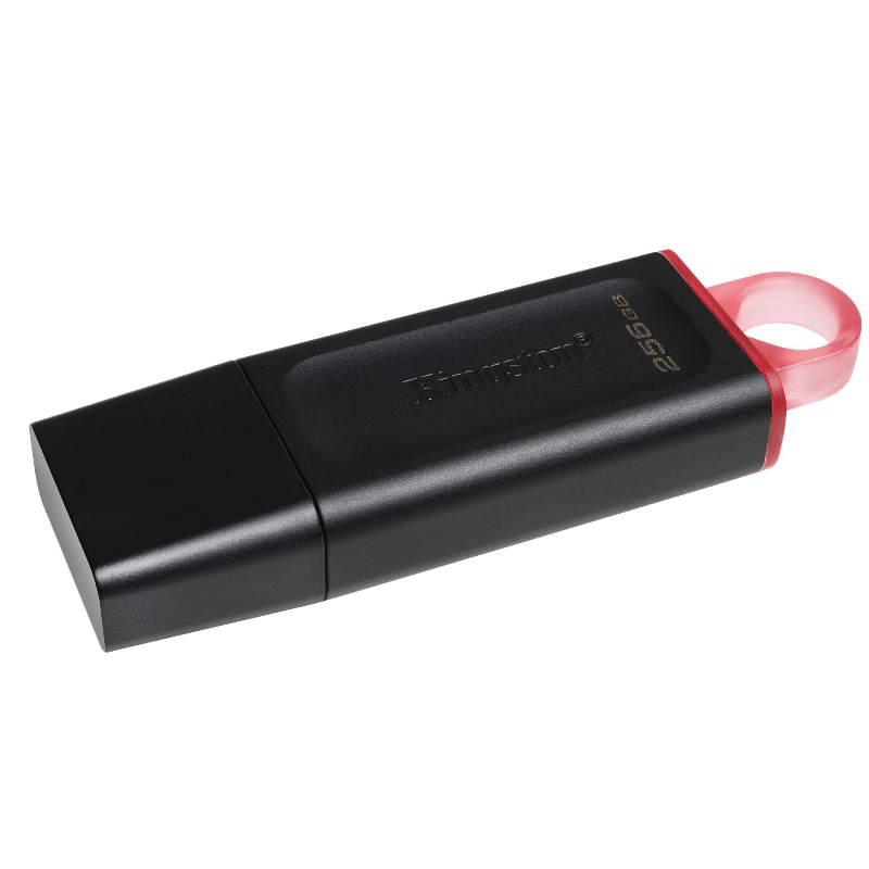 PENDRIVE-256-GB-2