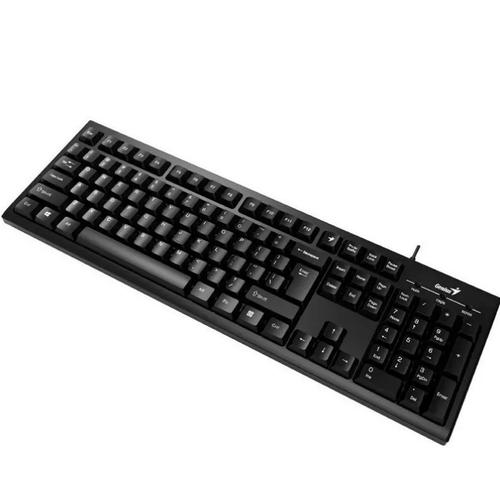 TECLADO GENIUS USB NEGRO KB-100