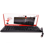 TECLADO-GENIUS-KB-100-2