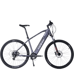 BICI ELECTRICA KANY MTB R29 GRAFITO EB-M29