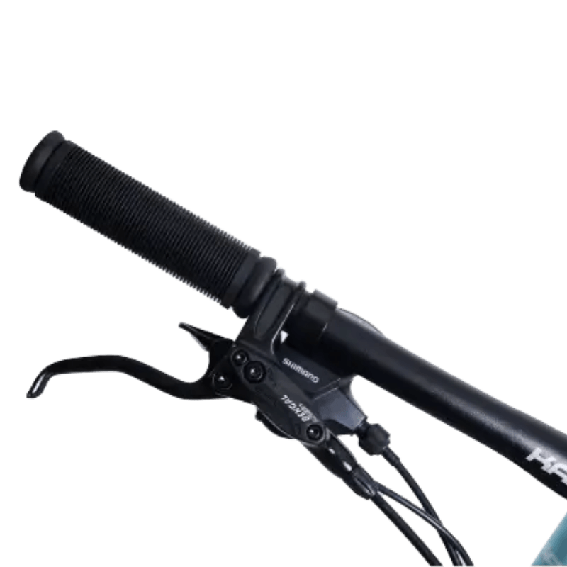 MTB-KANY-R29-3