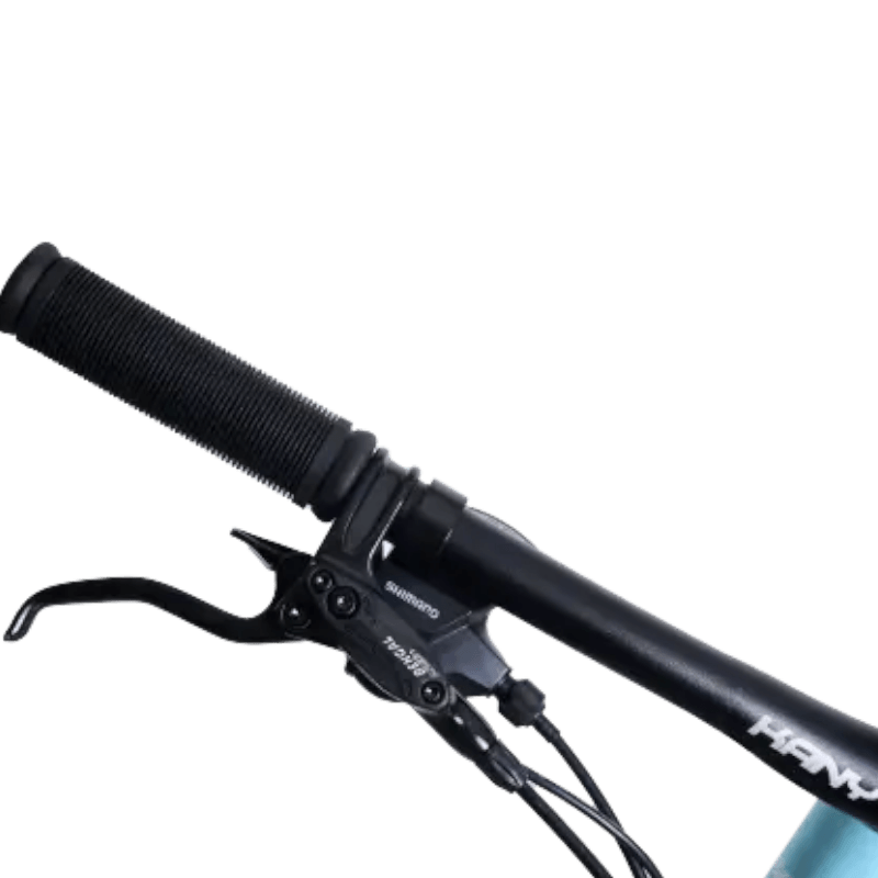EB-M29-2