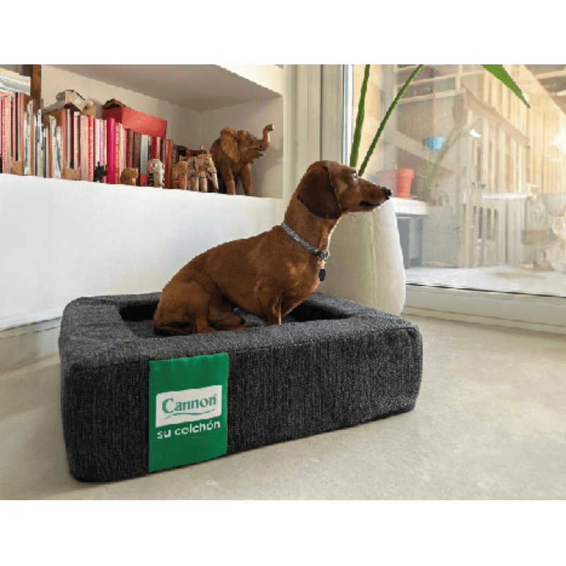 COLCHON-CHICO-PARA-PERROS-CANNON-9