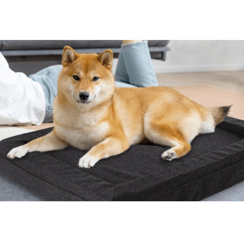 COLCHON-CHICO-PARA-PERROS-CANNON-10