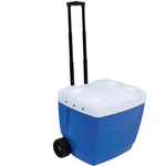 CONSERVADORA-AZUL-42-MOR-1