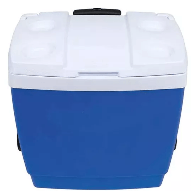 CONSERVADORA-AZUL-42-MOR-2