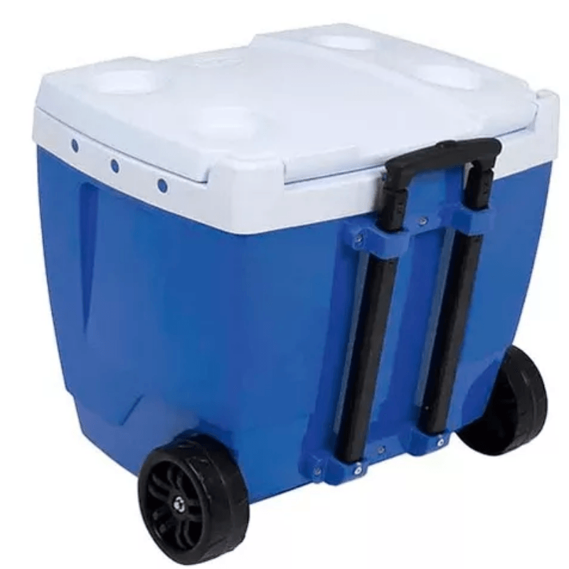 CONSERVADORA-AZUL-42-MOR-3