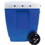 CONSERVADORA-AZUL-42-MOR-5