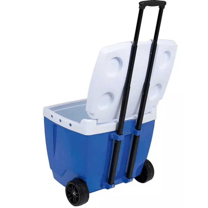 CONSERVADORA-AZUL-42-MOR-6
