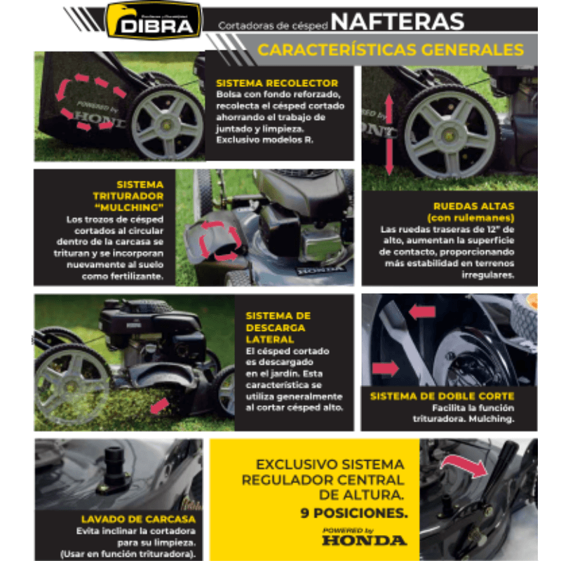 DIBRA-NAFTERA-1