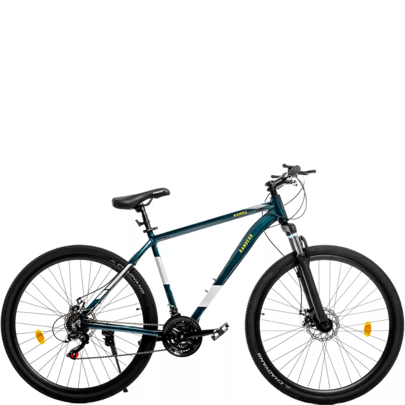 BIC-R29-RANDERS-AMAR-VERDE-1