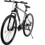 BIC-R29-RANDERS-AMAR-VERDE-2