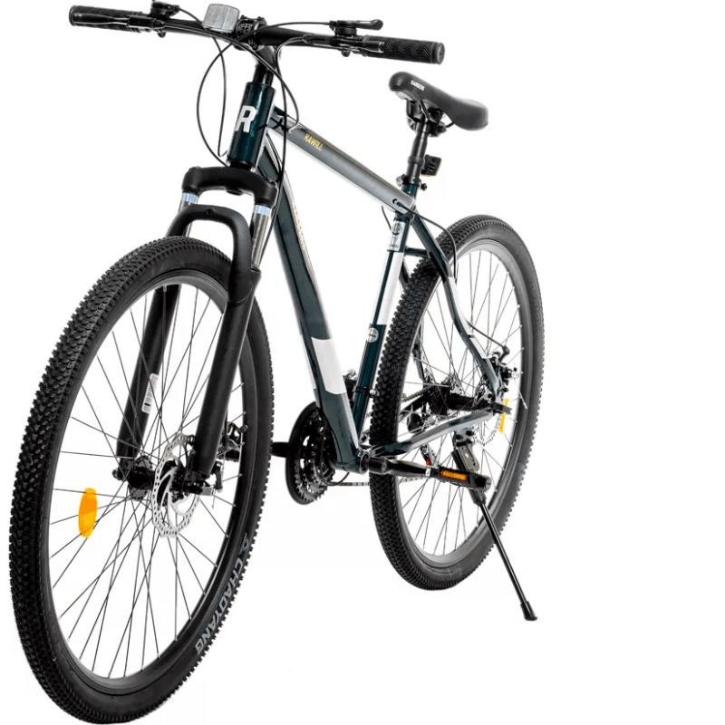 BIC-R29-RANDERS-AMAR-VERDE-2