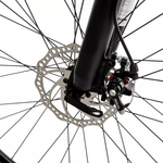 BIC-R29-RANDERS-AMAR-VERDE-3