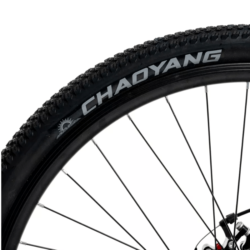 BIC-R29-RANDERS-AMAR-VERDE-5