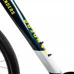 BIC-R29-RANDERS-AMAR-VERDE-6