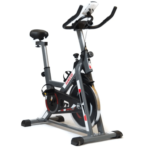BICI FIJA RANDERS SPINING ARG-874SP-R