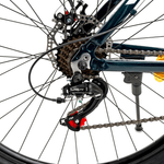 RANDERS-GRIS-AMARILLO-R29-6.png