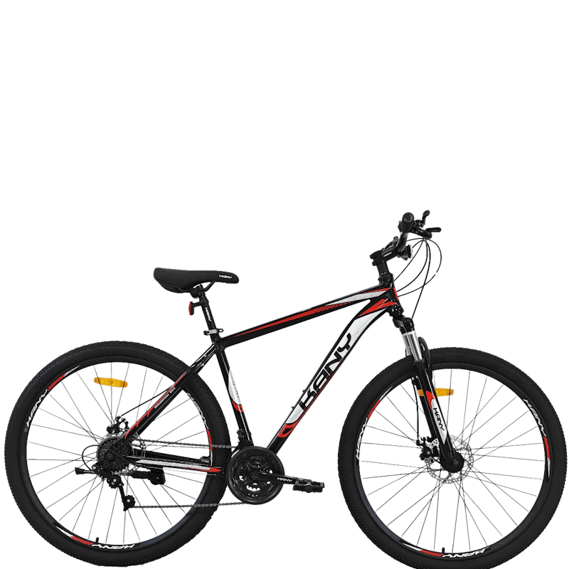 bic-KANY-R29-3.png