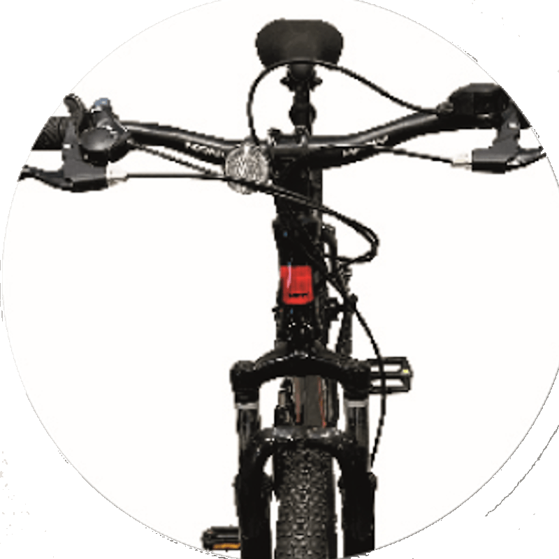 bic-KANY-R29-5.jpg