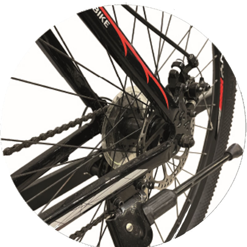 bic-KANY-R29-4.jpg
