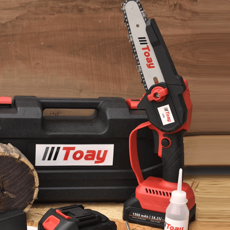 MOTOSIERRA-TOAY-JLD6-9