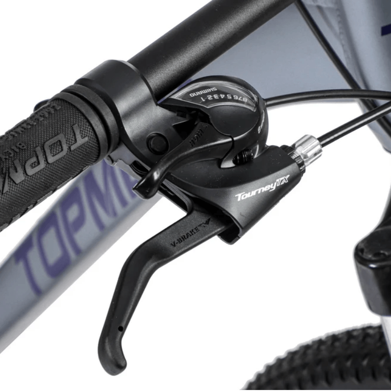 BIC-THOR-GRIS-VIO-NEGRO-10