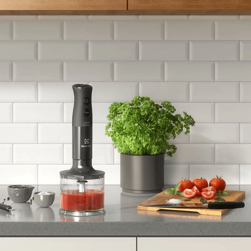 PIMMER-ELECTROLUX-600W-3-EN-1-EIB20-4