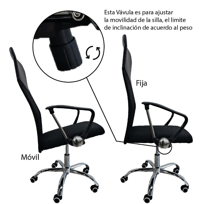 SILLA-BULK-4