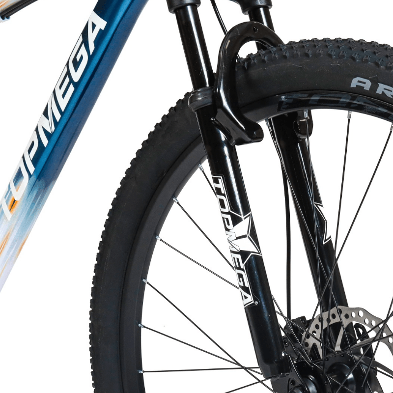 BICI TOPMEGA R29 SUNSHINE TALLE L 21V BLANCO 6