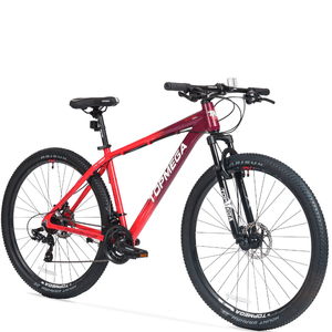 MTB R29 TOPMEGA SUNSHINE 21V CUADRO ALUMINIO CORAL/VIOLETA TALLE XS-14