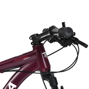 MTB R29 TOPMEGA SUNSHINE 21V CUADRO ALUMINIO CORAL/VIOLETA TALLE XS-14